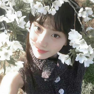 女王蜂游戏